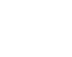 fornax studio